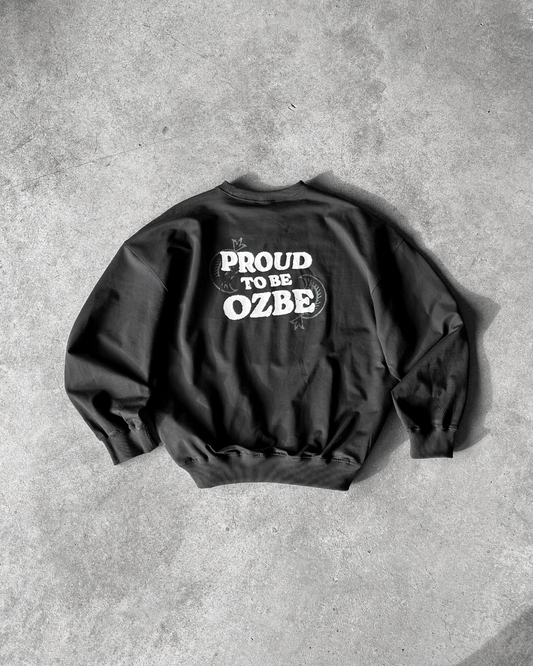 Свитшот PROUD TO BE OZBE