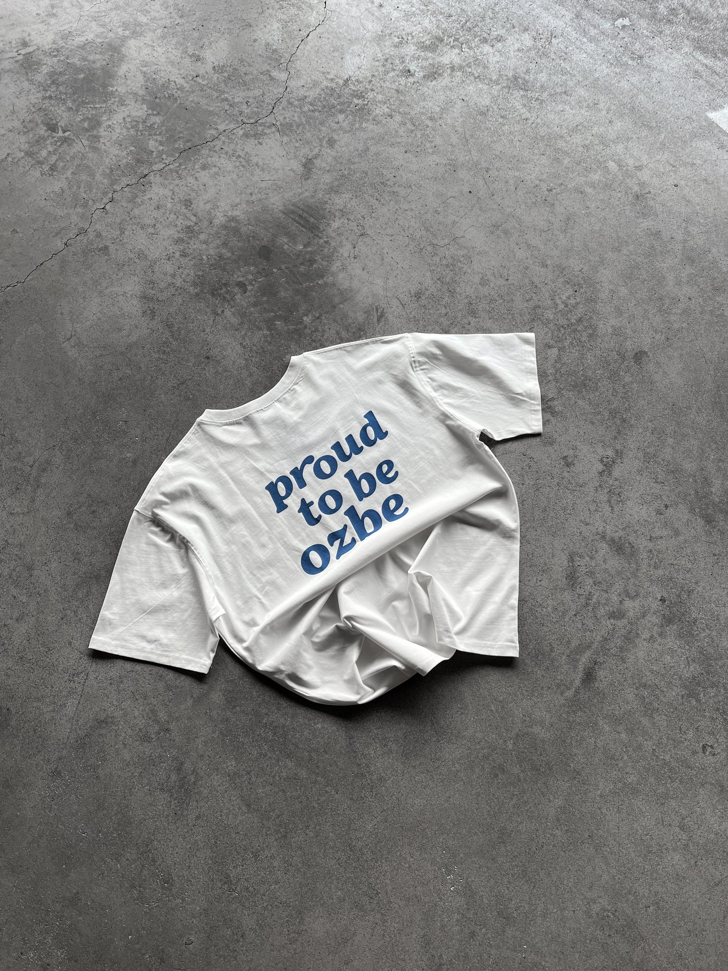 Футболка PROUD TO BE OZBE classic